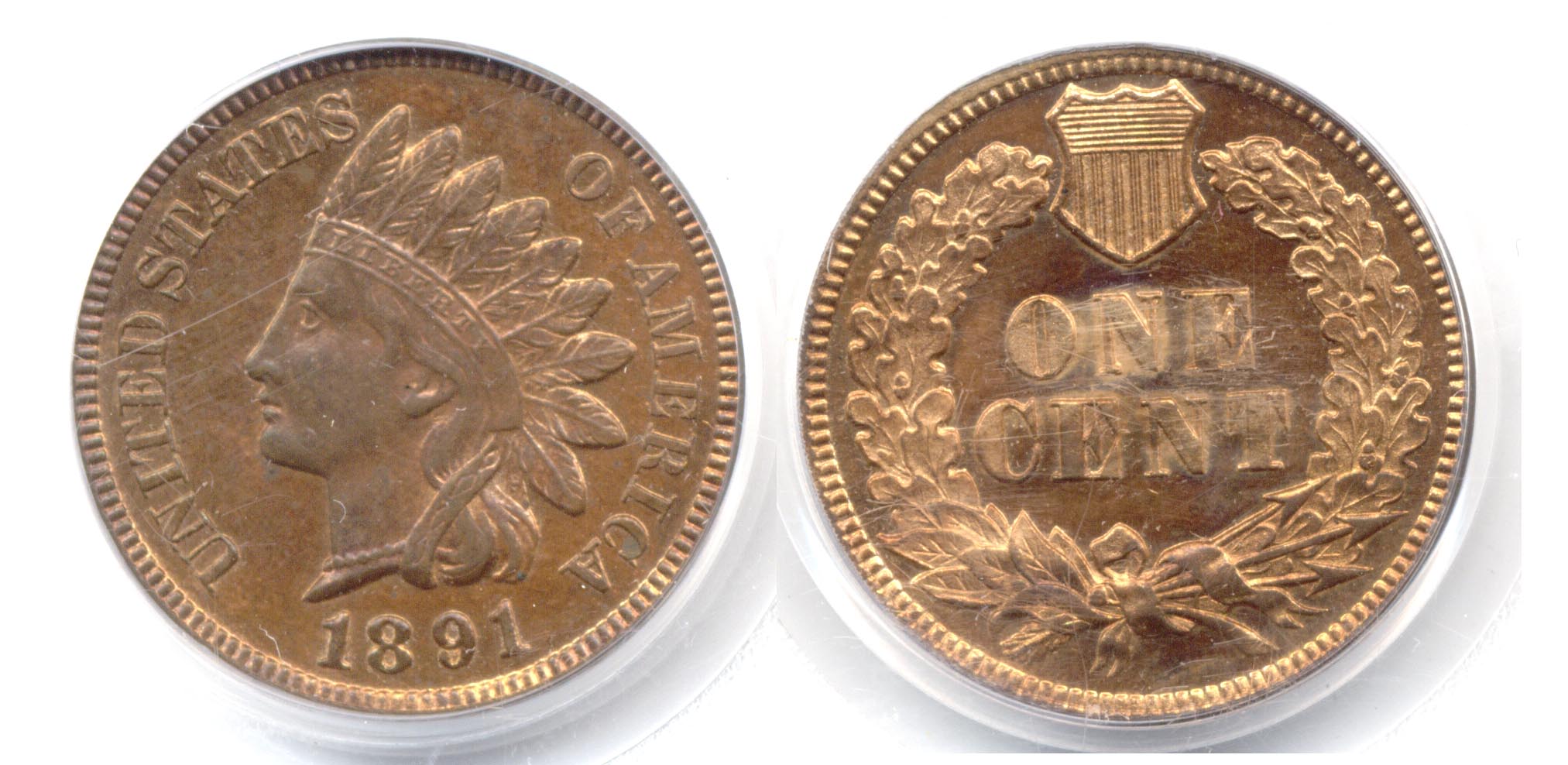 1891 Indian Head Cent in PCGS Proof-64 Red Brown