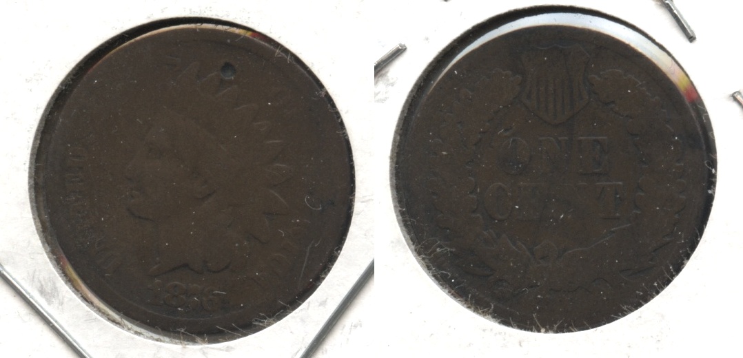 1876 Indian Head Cent AG-3 #k Obverse Pit