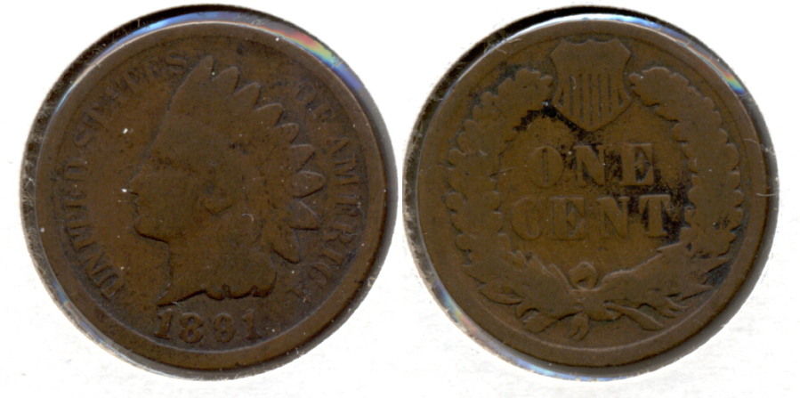 1891 Indian Head Cent Good-4 g
