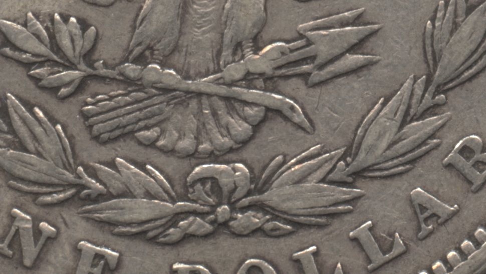 Close up of the tailfeathers area. VF-20 #a