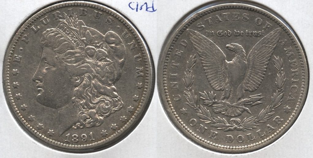1891 Morgan Silver Dollar VF-20 #g Cleaned