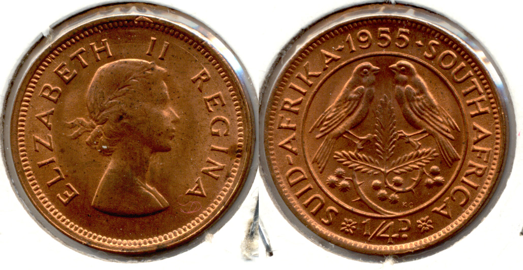 1955 South Africa 1/4 Penny MS-60
