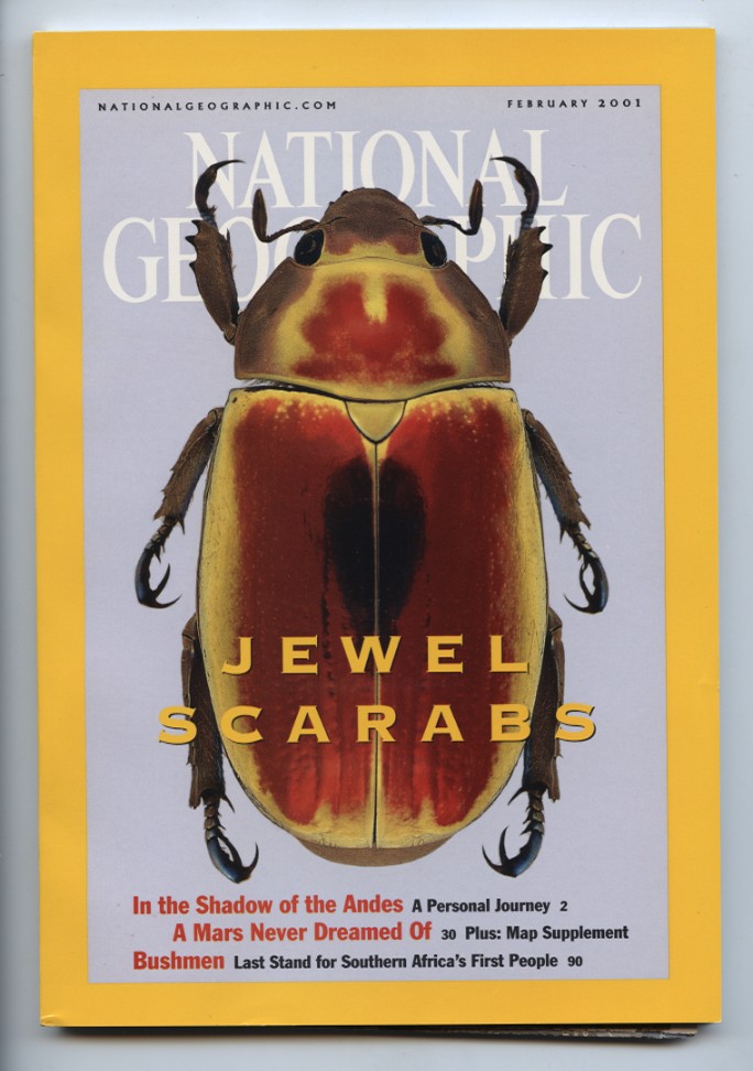 National Geographic Magazine February 2001