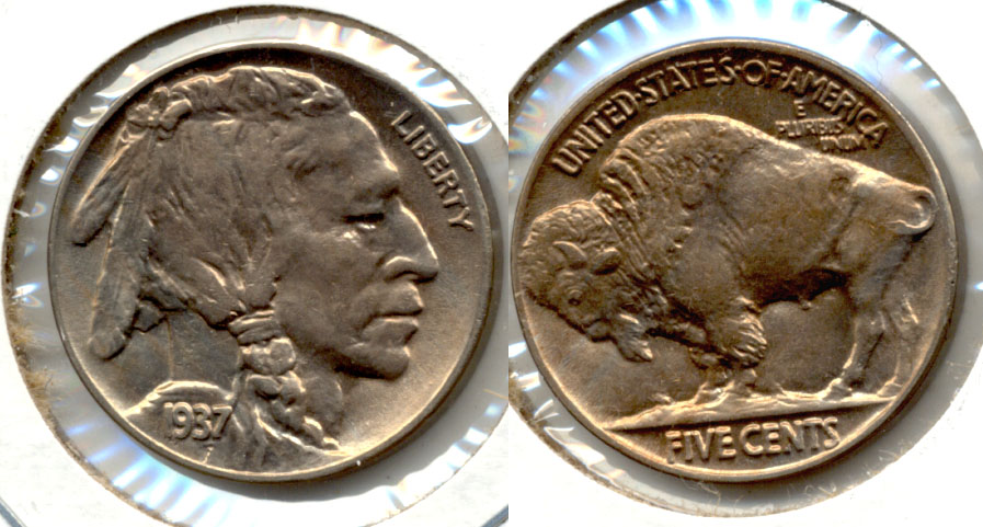 1937 Buffalo Nickel MS-63 b