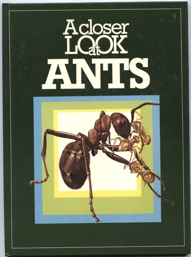 A Closer Look at Ants by Valerie Pitt and David Cook Published 1975