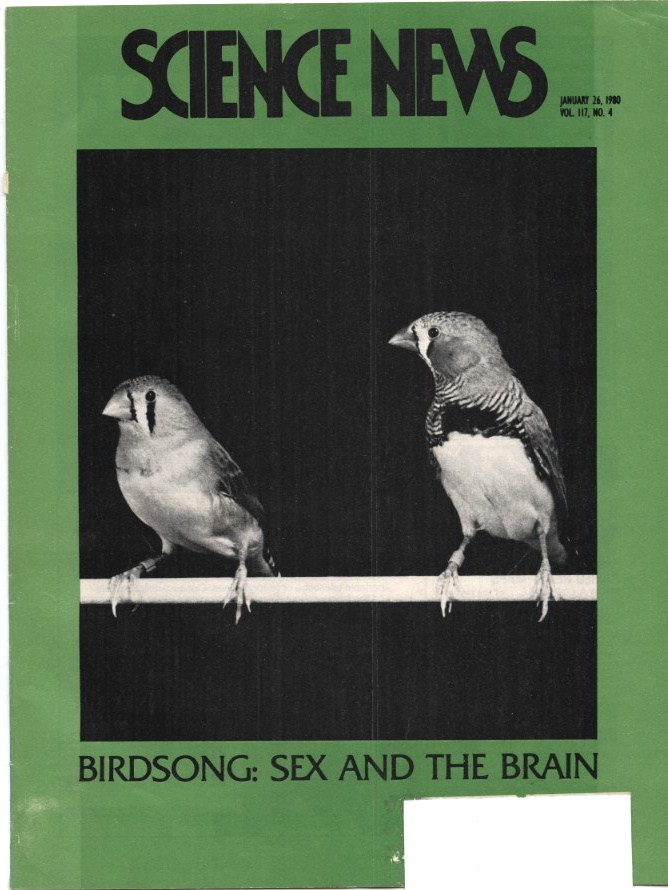Science News January 26 1980 Birdsong Sex and the Brain