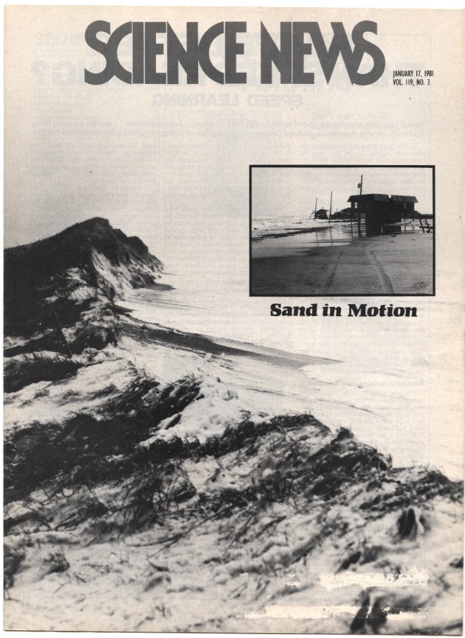 Science News January 17 1981 Stabilizing Beach Sand