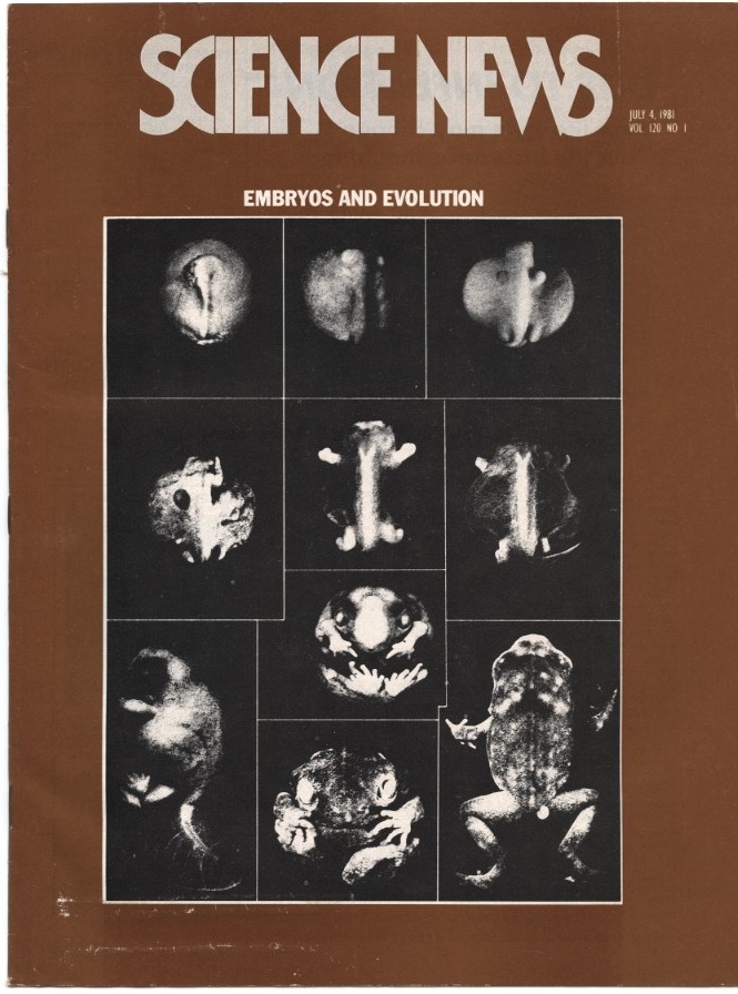 Science News July 4 1981 Embryos And Evolution