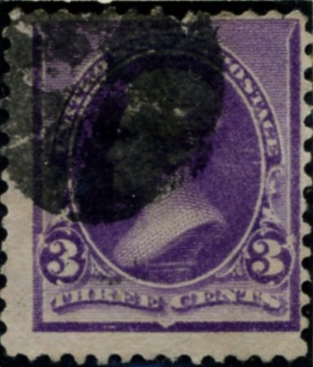 Scott 221 Jackson 3 Cent Stamp Purple