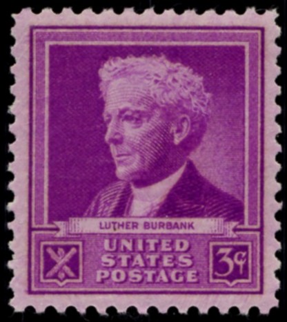 Scott 876 3 Cent Stamp Luther Burbank