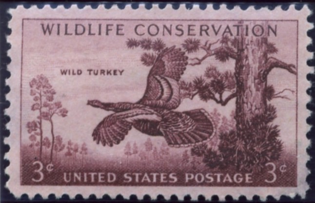 Scott 1077 3 Cent Stamp Wildlife Conservation Wild Turkey