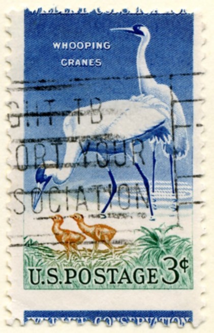 Scott 1098 3 Cent Stamp Wildlife Conservation Whooping Cranes a
