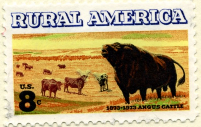 Scott 1504 8 Cent Stamp Angus Cattle a