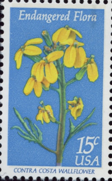 Scott 1785 15 Cent Stamp Endangered Flora Contra Costa Wallflower