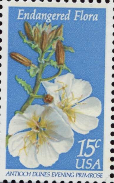 Scott 1786 15 Cent Stamp Endangered Flora Antioch Dunes Evening Primrose