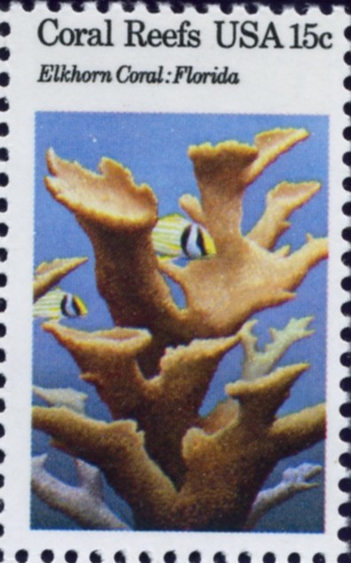 Scott 1828 15 Cent Stamps Elkhorn Coral Florida