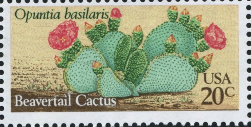 Scott 1944 20 Cent Stamp Beavertail Cactus