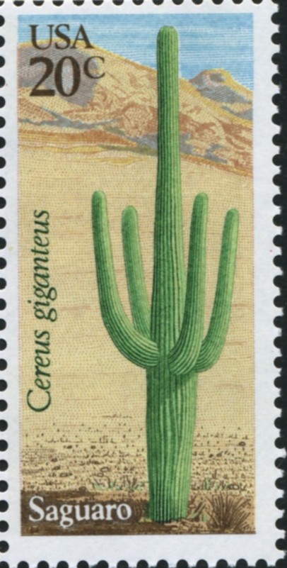 Scott 1945 20 Cent Stamp Saguaro Cactus