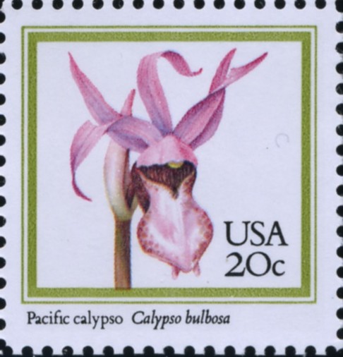 Scott 2079 20 Cent Stamp Pacific Calypso Flower