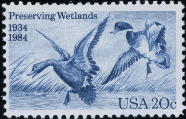 Scott 2092 20 Cent Stamp Preserving Wetlands