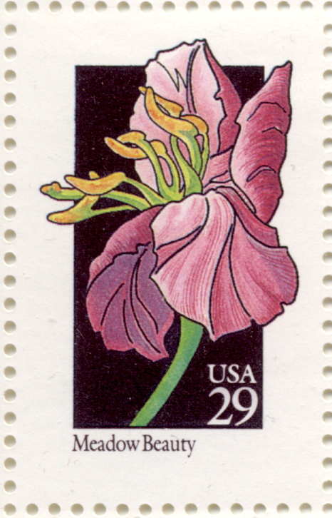 Scott 2649 Wildflowers Meadow Beauty 29 Cent Stamp