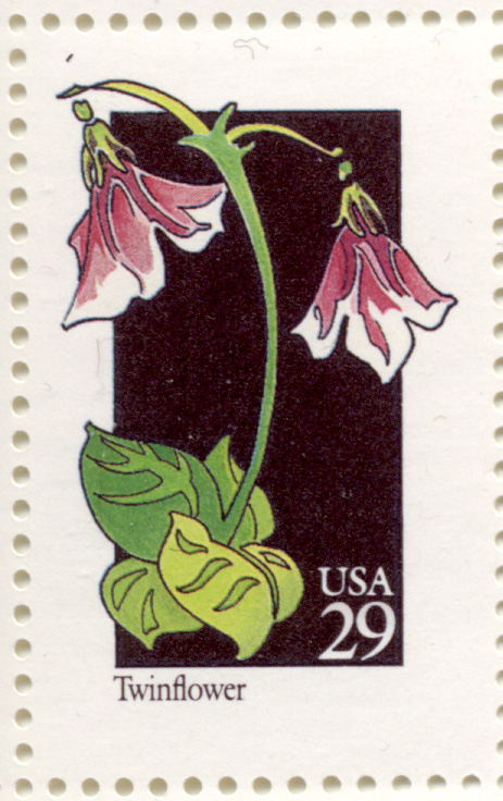 Scott 2665 Wildflowers Twinflower 29 Cent Stamp