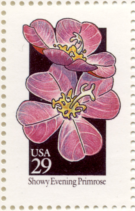 Scott 2671 Wildflowers Snowy Evening Primrose 29 Cent Stamp