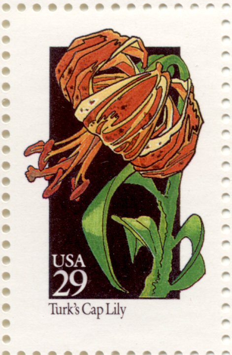 Scott 2681 Wildflowers Turk's Cap Lily 29 Cent Stamp
