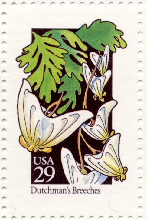 Scott 2682 Wildflowers Dutchman's Breeches 29 Cent Stamp