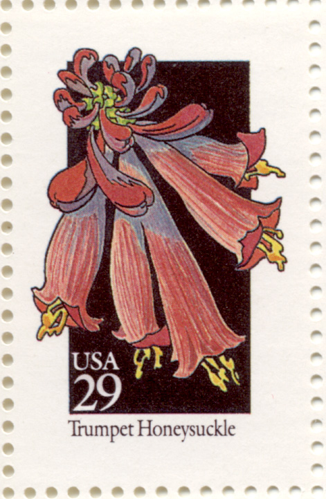 Scott 2683 Wildflowers Trumpet Honeysuckle 29 Cent Stamp