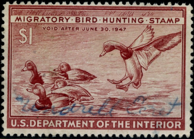 Scott RW13 1 Dollar Department of the Interior Duck Stamp Redheads