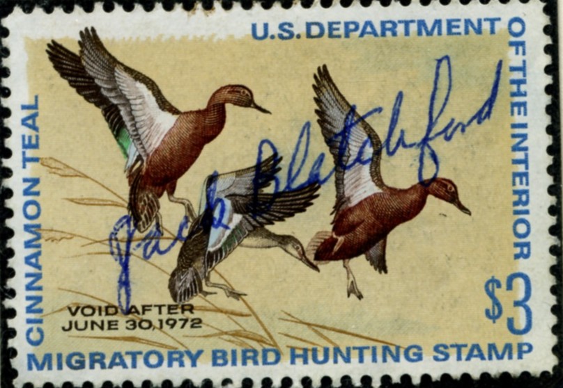 Scott RW38 3 Dollar Department of the Interior Duck Stamp Cinnamon Teal