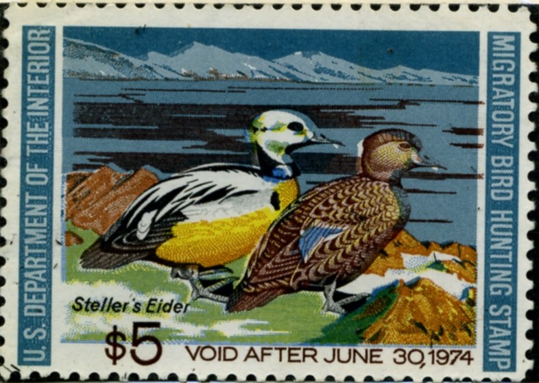 Scott RW40 5 Dollar Department of the Interior Duck Stamp Stellers Eider
