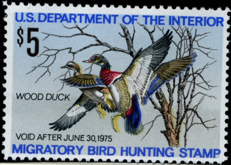 Scott RW41 5 Dollar Department of the Interior Duck Stamp Wood Duck a