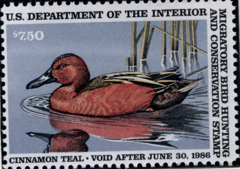 Scott RW52 7.50 Dollar Department of the Interior Duck Stamp Cinnamon Teal