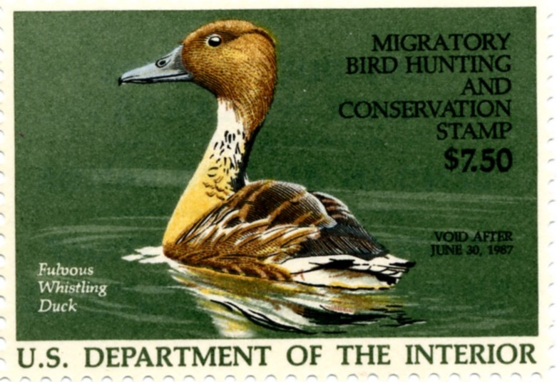 Scott RW53 7.50 Dollar Department of the Interior Duck Stamp Fulvous Whistling Duck